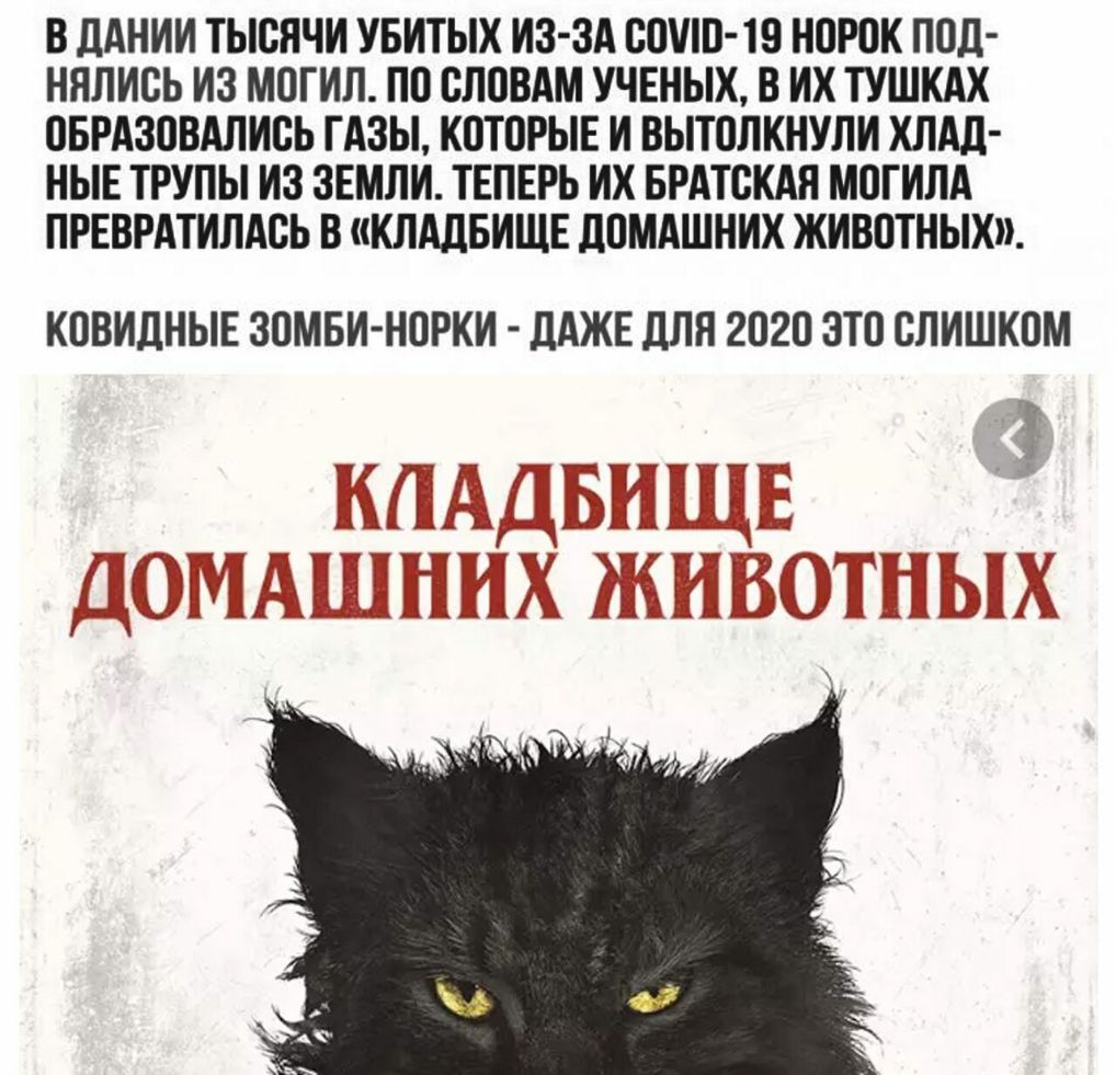 В дАНИИ ТЫСЯЧИ УБИТЫХ ИЗ ЗА СНИП 19 НПРПК ПОд НЯЛИСЬ ИЗ МОГИЛ ПО ВЛВВАМ УЧЕНЫХ В ИХ ТУШКАХ ВБРАЗПВАЛИВЬ ГАЗЫ КПТПРЫЕ И ВЫЮЛКНУЛИ ХЛАЛ НЫЕ ТРУПЫ ИЗ ЗЕМЛИ ТЕПЕРЬ ИХ БРАТСКАЯ МПГИЛА ПРЕВРАТИЛАВЬ В КЛАДБИЩЕ дПМАШНИХ ЖИВОТНЫХ КПВИДНЫЕ ЗОМБИ НОРКИ ДАЖЕ дЛЯ 2020 ЭТО СЛИШКОМ ЁЫЁЙЩБЁЕЁЁ ДАЁЁЁЁЁЁЁЖ ЁЁЁЁЁЁШЪТЁПЫХ