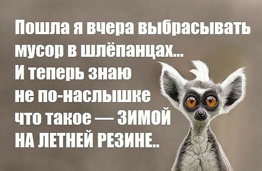 Пошла п вчепа выііпасывать МУШ В ШПЁПВНЦЁХ ТБПБШ знаю не по наспышне что такое зимои Нд ПЕТНЕЙ РЕЗИНЕп