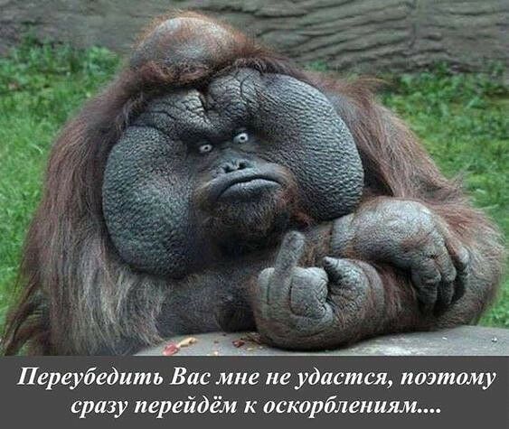 Переубедить Вас мне не удастся поэтому сразу перейдём к оскорблениям