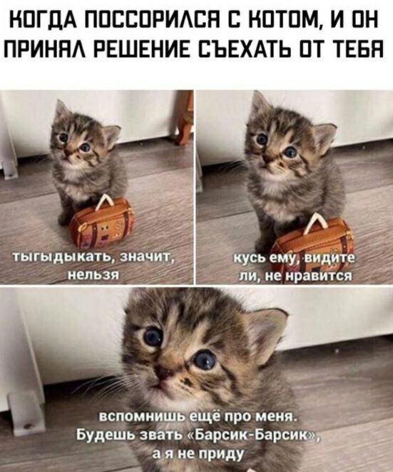 НПГЦА ППСВПРИАВН С НПТПМ И ПН ПРИННА РЕШЕНИЕ СЪЕХАТЬ ПТ ТЕБН ТЫГЫДЫКЗТЬ ЗМЗ КУСЬ ему ВИДИТЕ НЕЛЬЗЯ ЛИ не нравится ВСПОМИИШЬ еще ПРО меня _ Будешь зваЁЁ Барсик Барси а я не приду