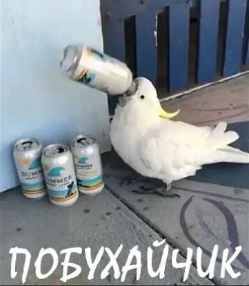 5 повухдйчшг