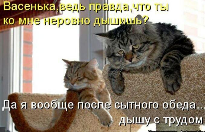 асытного обеда ііь Да я вообше посЪ