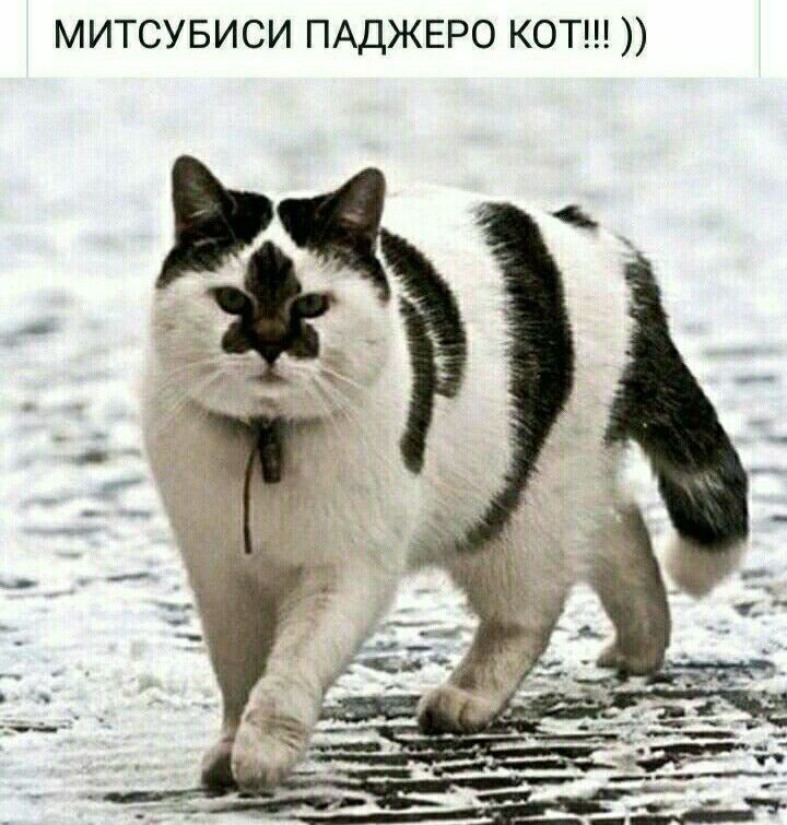 МИТСУБИСИ ПАДЖЕРО КОТ