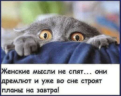 Женские мысли не спят они дремлют и уже во сне строят планы на завтра