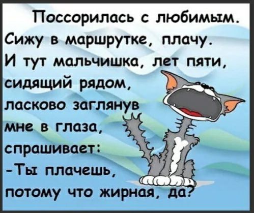 Поссорилась с любимым Сижу в маршрутке плачу И тут мальчишка лет пяти сидящий рядом ласково заглянув Мнев глаза спраш Ть1 плачешь потому что жирная ца