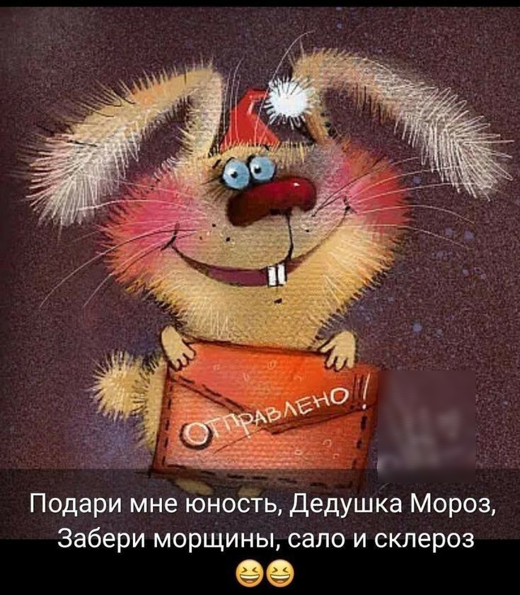 Подари мне юность Дедушка Мороз Забери морщины сало и склероз