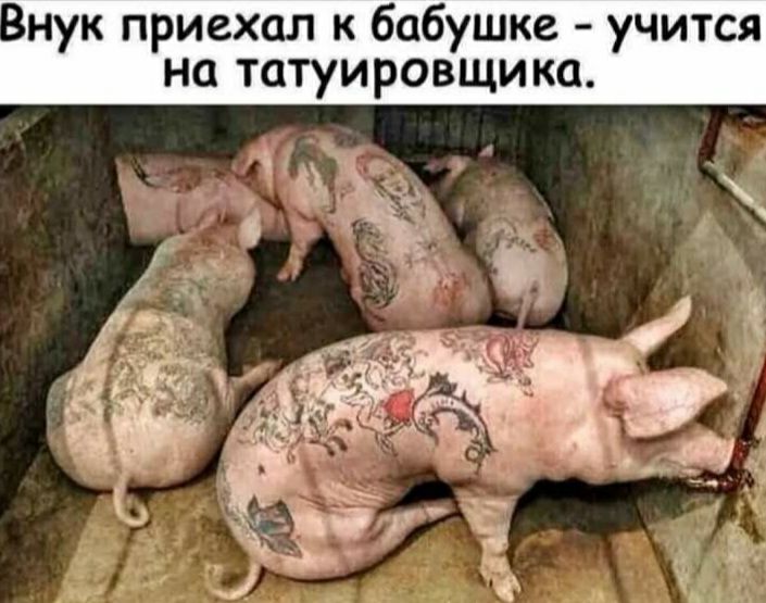 нук приехал к бабушке учится на татуировщика