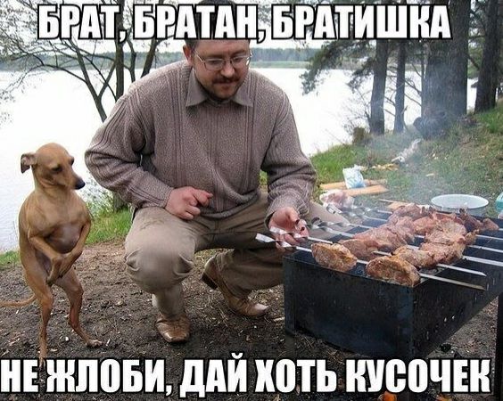 нійніізви дий хоть нипочін