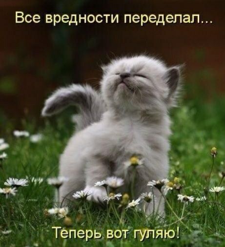 Все вредности переделал