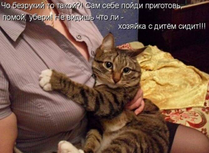 Чо езруки Ъёбе ПОЙДЁИ приготовь нии г