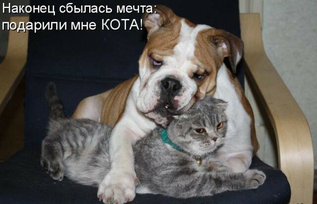 Наконец сбылась мечта