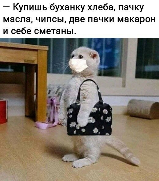 Купишь буханку хлеба пачку масла чипсы две пачки макарон и себе сметаны