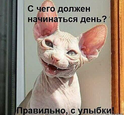 С дёго должен нф іинаться день