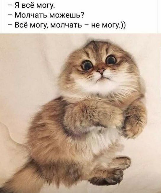 Я всё могу Молчать можешь Всё могу молчать не могу