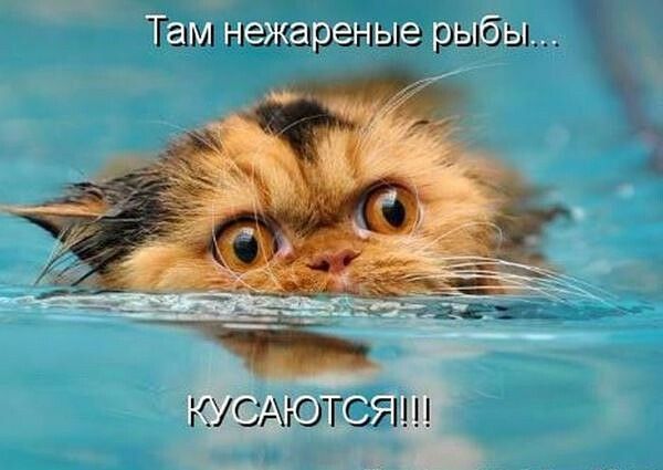 Там НЭЖЫЭЁЁУШЭ рыбы КУСАЮТСЯ