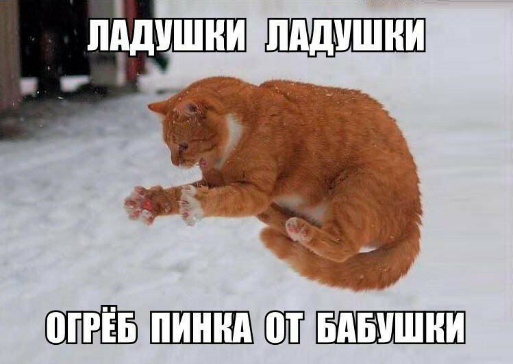 5 ШЁШ