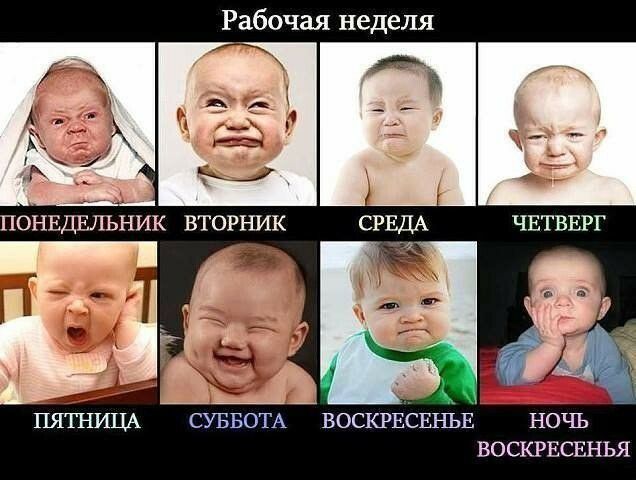 Рабочая неделя ВТОРНИК СУББОТА ВОСКРЕСЕНЬЕ ВОСКРЕСЕНЬЯ
