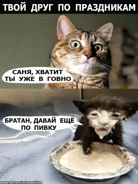 ТВОЙ дРУГ ПО ПРАЗДНИКАМ САНЯ ХВАТИТ ты УЖЕ в говно _ БРАТАндАВАЙ ЕЩЁ по пивку