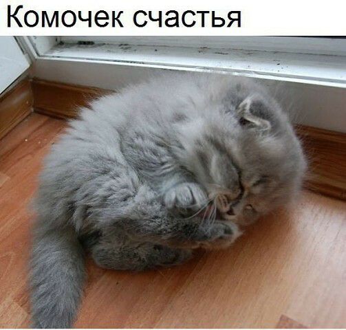 Комочек счастья