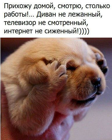 Прихожу домой смотрю сгопько работы Диван не пежанный телевизор не смотренный интернет не сиженный