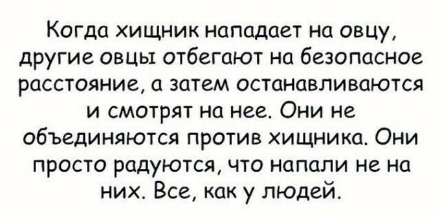 Когда хищник нападает на овцу другие овцы отбегают на безопасное расстояние а затем останавливаются и смотрят на нее Они не объединяются против хищника Они просто радуются что напали не на них Все как у людей