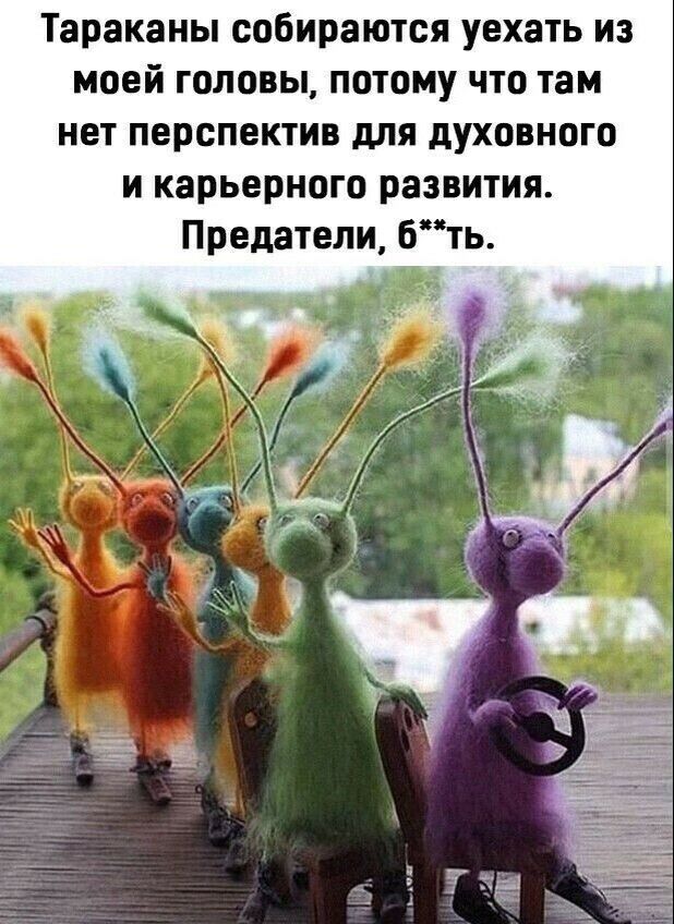 Тараканы собираются уехать из моей головы потому что там нет перспектив для духовного и карьерного развития Предатели бть