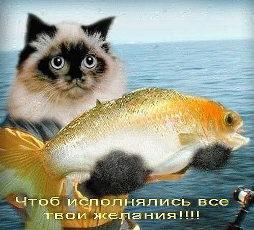 1 япись все ания
