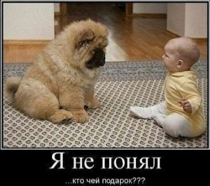 Я не понял чеи подарит