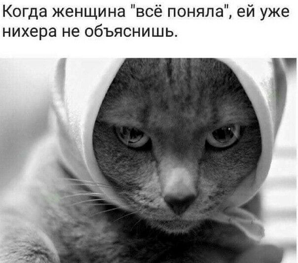 Когда женщина всё поняла ей уже нихера не объяснишь