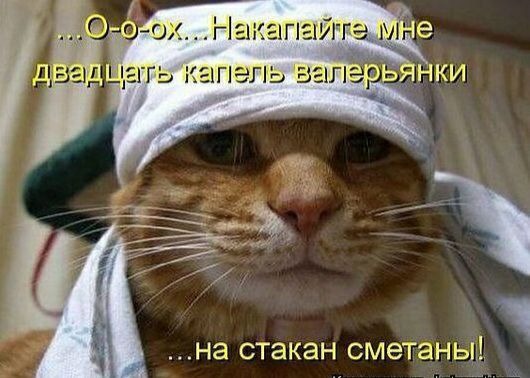 на стакан сметаны