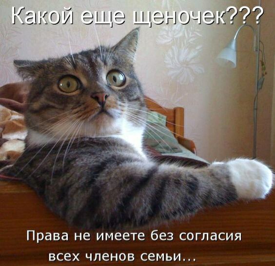 Права не имеете без согласия всех членов семьи