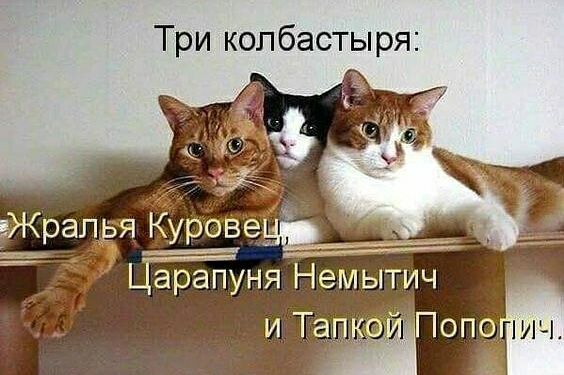 Три колбастыря