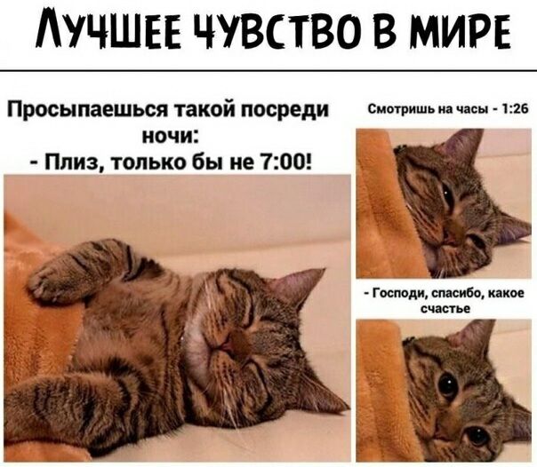 АУЧШЕЕ ЧУВСТВО В МИРЕ Просыпаешься такой посреди итить тин ночи Плиз только бы не 700 Ё и 1