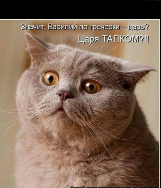 Значит гашиша гшграчащш царь Царя Т АГ НОМШ