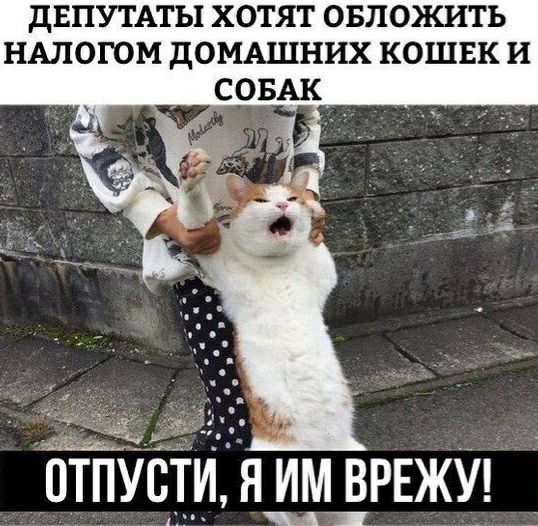 двпутмы хотят овложить нмогом дОМАШНИХ кошвк и совы о_тпуц1_ия_ВРЕЖУ