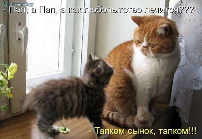 4 50 ПЭЧУ эк ггпктч