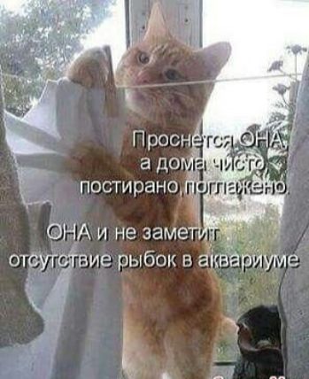 отступив рыбок аквариуме 5 д