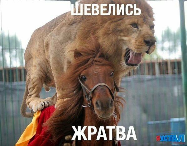 ЕВЕПИСЬ