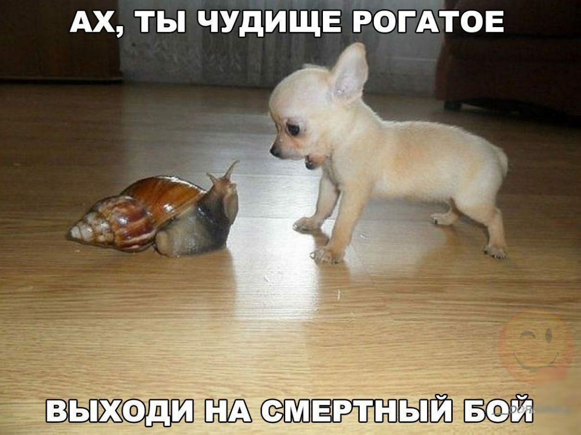 Ах ты чудйЩЕ Рёгдтов эхом ЕЁ