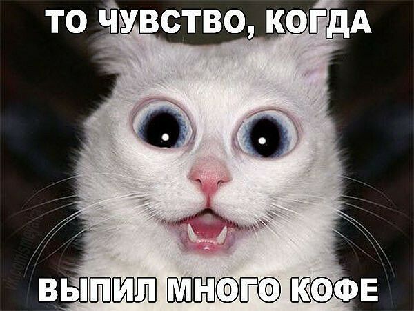 ТО ЧУВСТВО КОГДА ВЫШШШ ВШЁПТ КОФЕ