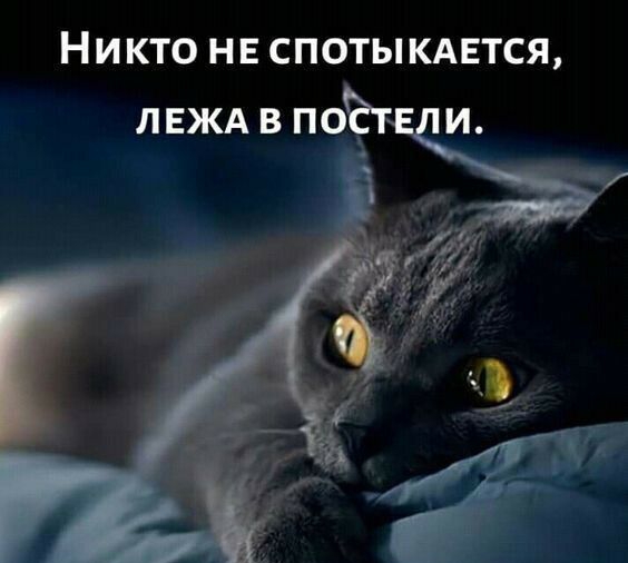 НИКТО НЕ СПОТЫКАЕТСЯ