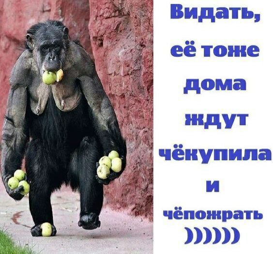 чёпожрать
