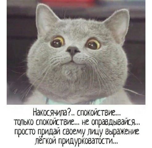 Накосшщъаі сгюкойствуе ТШЬКО СПОКОУСТБУЬ не шрШдЫВдУСЯ просто придди своему лицу Вьраженуе Легкои придурковатости