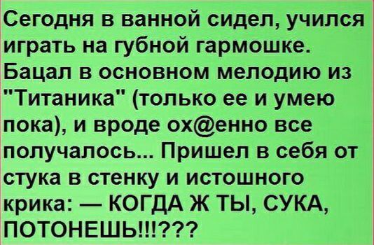 Сегодня в ванной сидел учился играть на губной гармошке Бацал в основном мелодию из Титаника только ее и умею пока и вроде охенно все получалось Пришел в себя от стука в стенку и истошного крика КОГДА Ж ТЫ СУКА ПОТОНЕШЬ