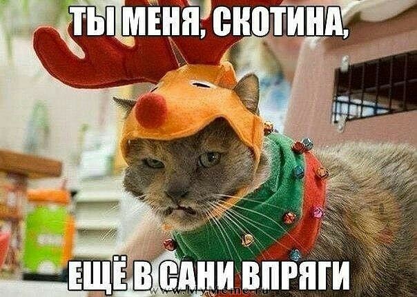 иёвпЁяги