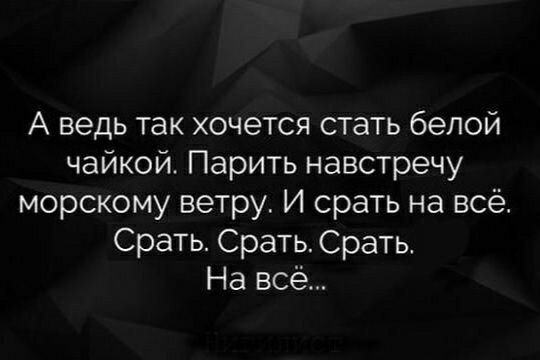 А ведь так хочется стать белой чайкой Парить навстречу морскому ветру И срать на всё Срать Срать Срать На всё