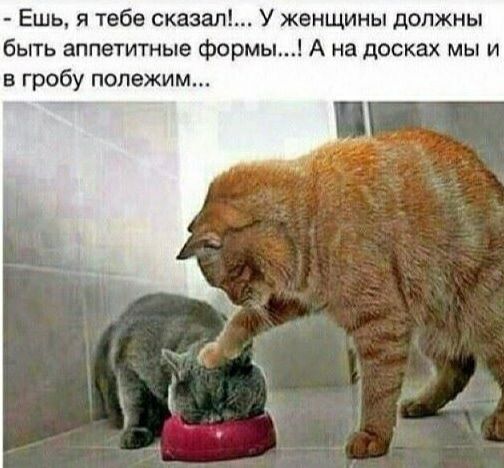 Ешь я тебе сказал У женщины должны быть аппетитные Формь А на досках мы и в гробу полежим