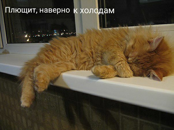 Ппющит наверно ам