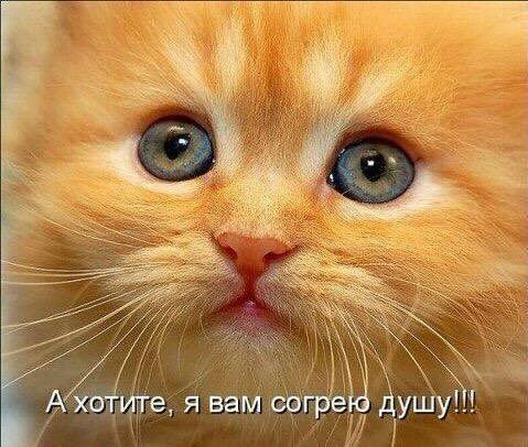 и Ахоттв я вам согре