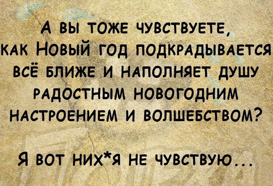 вы тожЕ чувствуете Од псдкрддывАЕтся всЁ впиж У_И_НАП01НЯЕТ душу рддбСтным новогодним нАстровниЕМ и ВОЛШЕвством к Явот нихт НЕ чувствур